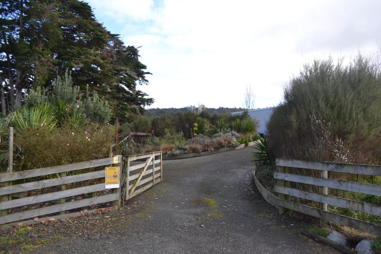Manuka Views - Close To Thermal Hot Pools Kaukapakapa Exterior foto